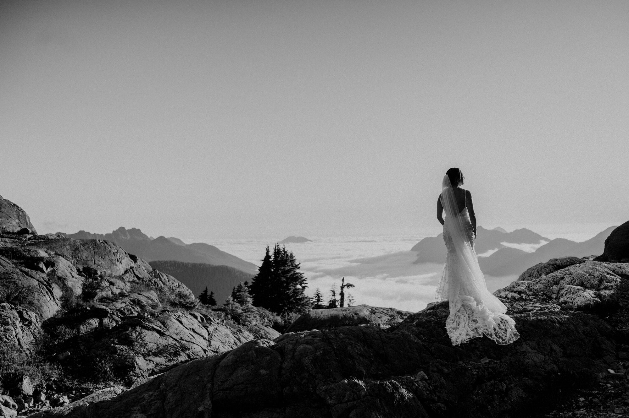 JenMcLeodPhotography_JulieScot_t2024_338