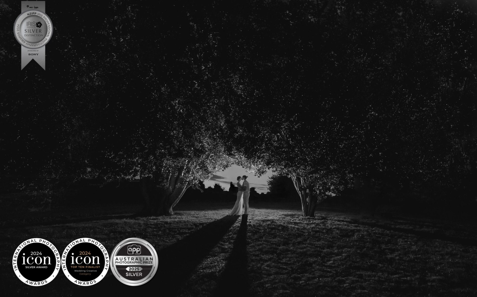 Award_image_decalsVandy_Christina_03_wedding_tree-2